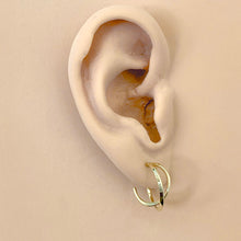 Load image into Gallery viewer, 14k Double Hoop Earrings
