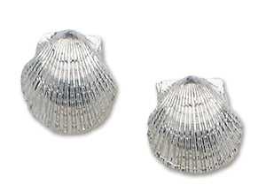 Scallop Stud Earrings